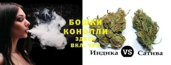 прущий лед Новозыбков