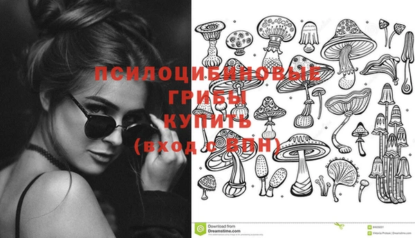 амф Аркадак