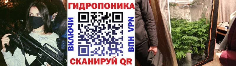 Бошки марихуана план  блэк спрут сайт  Спасск-Дальний  наркота 